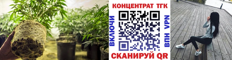 ТГК концентрат  дарнет шоп  Петушки 